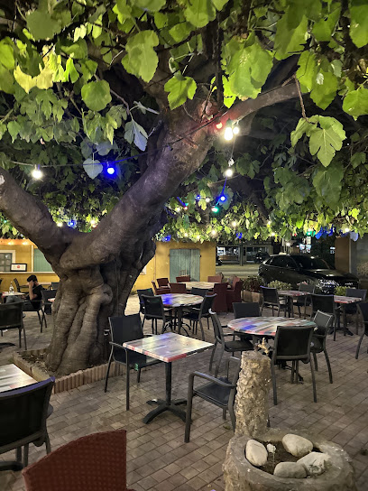 Restaurant Au Patio Restaurant à Draguignan
