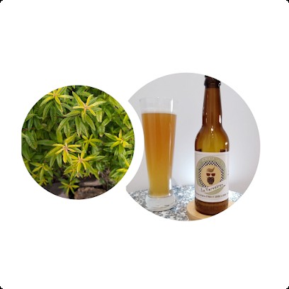 La Serre & Ale, Restaurant à Saint-Cierge-la-Serre