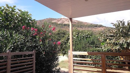 La Palmeraie, Restaurant à Vico