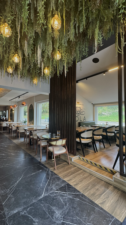 Mola Restaurant à Charvieu-Chavagneux