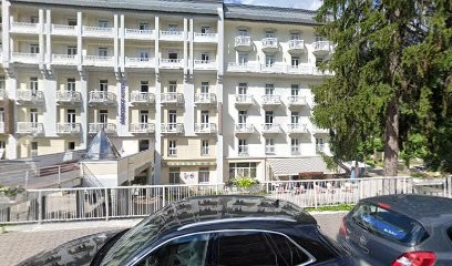 LE GRAND OURS, Restaurant à Brides-les-Bains