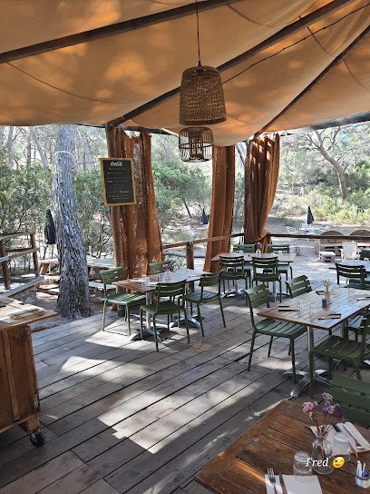 A Piniccia di Saleccia, Restaurant à Santo-Pietro-di-Tenda