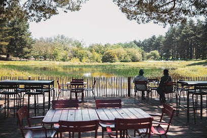 Le Restaurant du Parc du Marquenterre, self-restaurant produits frais de saison, Restaurant à Saint-Quentin-en-Tourmont