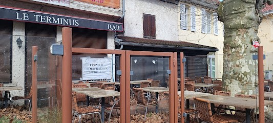 New platanes, Restaurant aux Avenières Veyrins-Thuellin