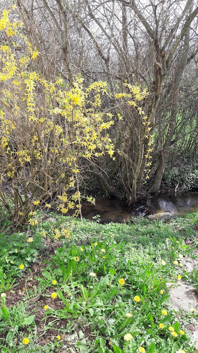 Desbordes René, Restaurant à Manzat