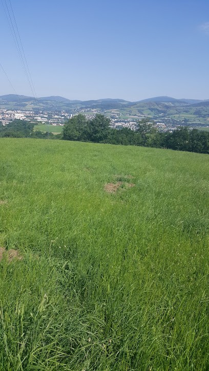 Sanchez Theodore, Restaurant à Saint-Chamond