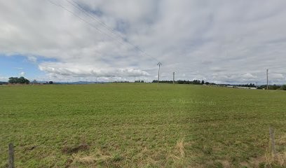 Zarli Vincent, Restaurant à Dunières