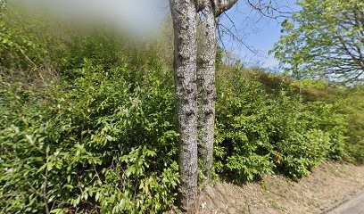 DINA Food 70, Restaurant à Héricourt