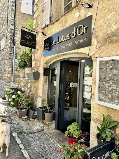 Le Lotus D'Or, Restaurant à Saint-Paul-de-Vence