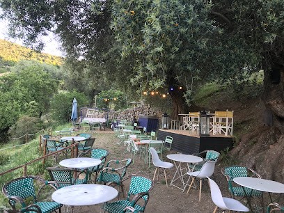 Titi Twister Bar, Restaurant à Moncale