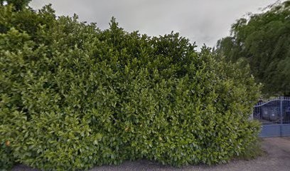 Loisy Philippe Georges, Restaurant à Authumes