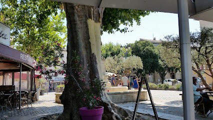Brasserie Le Caprice, Restaurant à Saint-Paul-Trois-Châteaux