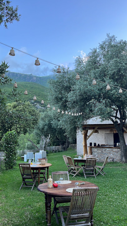 A Cantina Di Pasqua Restaurant à Brando