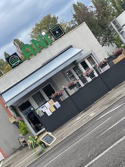 Pizzeria & Grill Ani, Restaurant à Freyming-Merlebach