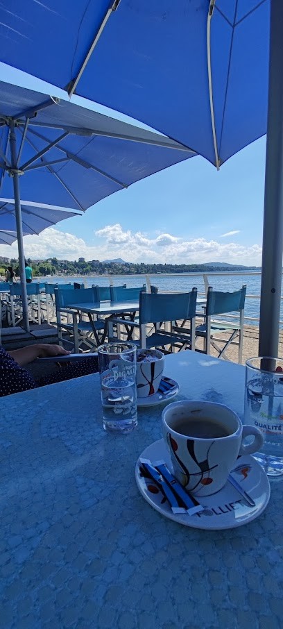 Plus Belle La Vue, Restaurant à Thonon-les-Bains