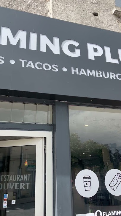 Flaming plus, Restaurant à Saint-Amand-Montrond