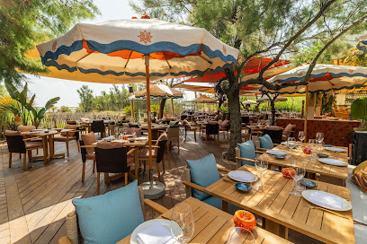 Coya Beach Restaurant à Ramatuelle