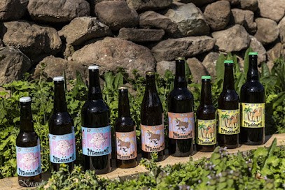 Brasserie ZyGOMatiK, Restaurant à Fondamente