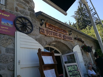 La Ferme de Livarat Girard Cedric, Restaurant à Pradelles