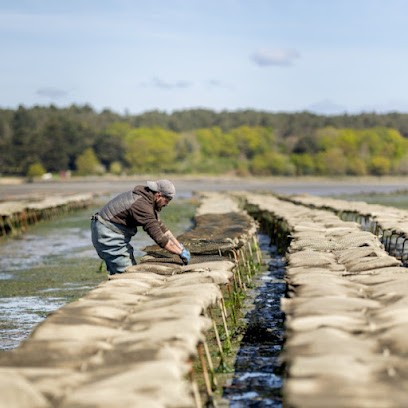 Huitres Ahoy, Restaurant à Baden
