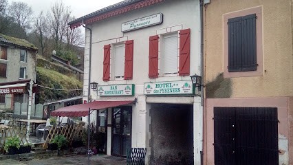 Hotel Restaurant Des Pyrenees, Restaurant à Mauléon-Barousse
