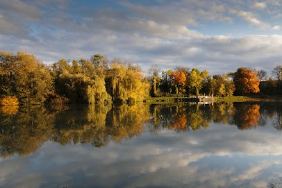 La Brasserie du Marché, Restaurant à Coulommiers