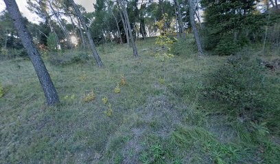 Guinguette Des Tours, Restaurant à Châteaurenard