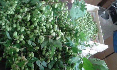Le Houblon Gourmand, Restaurant à Nanteuil-la-Fosse