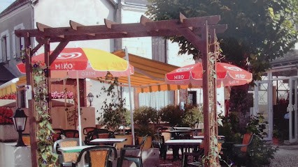 La boule D'or, Restaurant à Montrichard Val de Cher