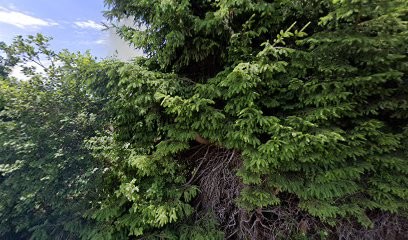 Allo extra service évèmentiel, Restaurant à Gérardmer