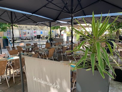 La Salamandre, Restaurant à Villeneuve-lès-Avignon