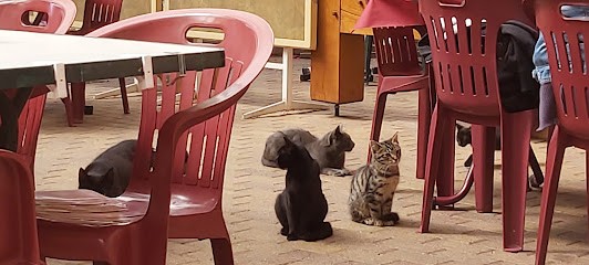 Restaurant Du Windsbourg, Restaurant à Wangenbourg-Engenthal