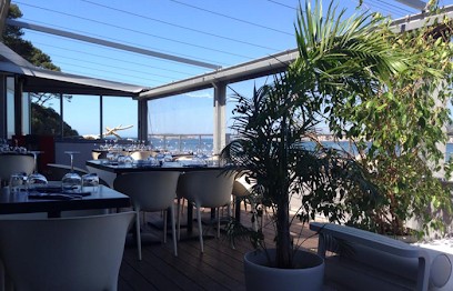 464 Harbor, Restaurant à Sanary-sur-Mer