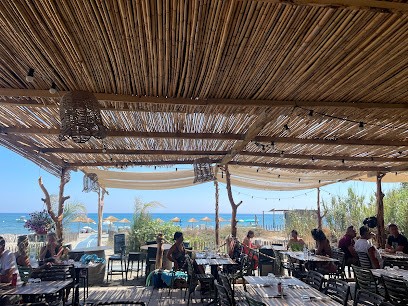 Maona Cap Sud, Restaurant à Venzolasca