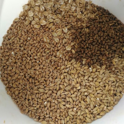 Autour De La Bière - Brasserie Chap's, Restaurant à Taluyers