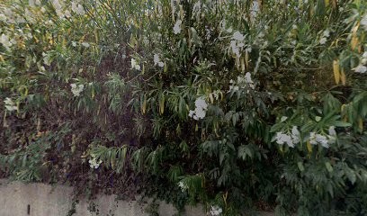 La Taverne Du Mas, Restaurant à Laroque-des-Albères