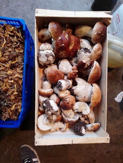 Restauration, Restaurant à Monlet