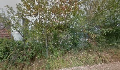 Lemann Alain, Restaurant à Saint-Pierre-les-Étieux