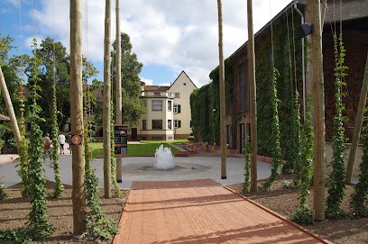 Villa Meteor Et Boutique, Restaurant à Hochfelden