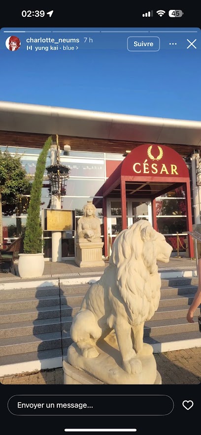 Restaurant César Restaurant à Saint-Julien-lès-Metz