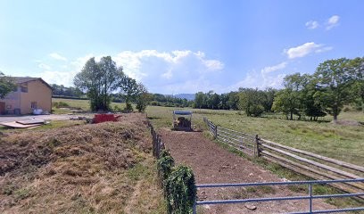 Gourmandise & gastronomie, Restaurant à Porte des Pierres Dorées