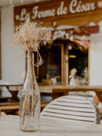 La Ferme de Cesar, Restaurant à La Plagne Tarentaise