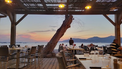 L' Escale, Restaurant à Grosseto-Prugna
