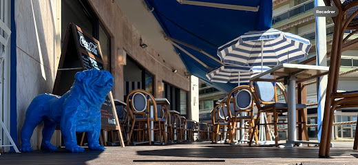 Brasserie Le Chien Bleu Restaurant à Antibes