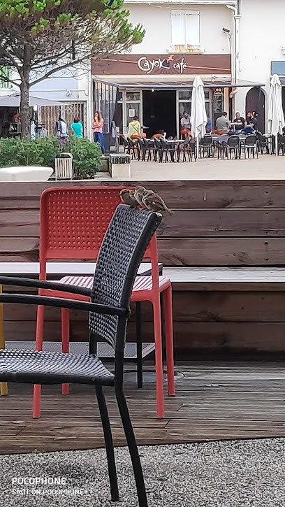 L’ Açaï Tropical Café, Restaurant à Mimizan