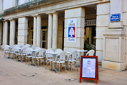 Le Cèdre Blanc Restaurant à Montpellier