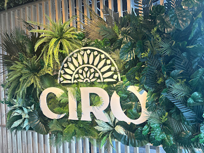 Ciro Ristorante Restaurant à Saint-Quentin-Fallavier