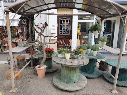 Restaurant Demi-Lune, Restaurant à Thann