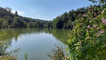 Aldo Les Etangs D'Elan, Restaurant à Flize