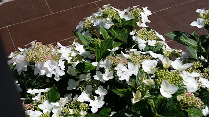 24i.fr, Restaurant à Gonesse